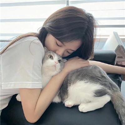 雄狗狗大冒险